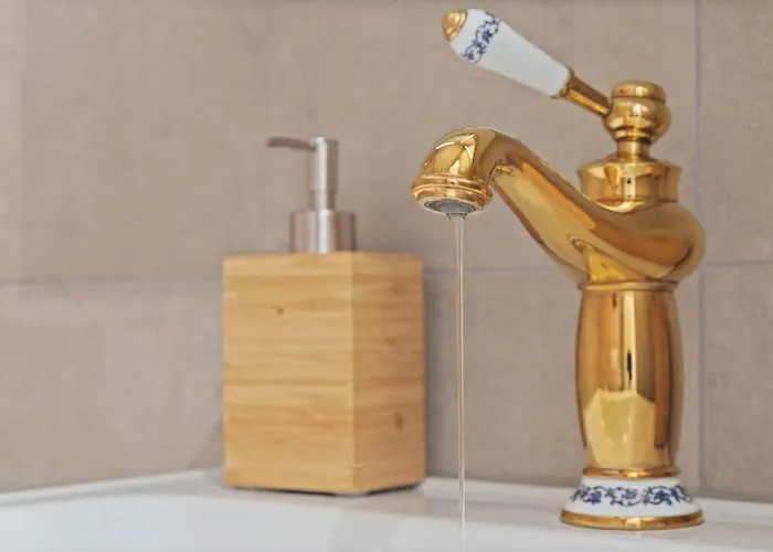 Renove Situe Dans Les Bains D'ovronnaz, Immeuble Les Sources Apartment Ovronnaz